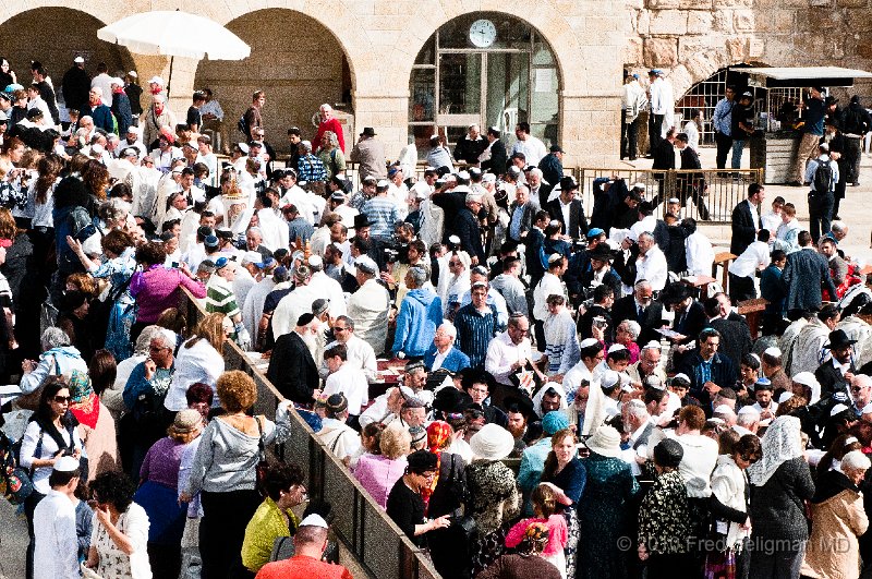 20100408_092929 D300.jpg - Overlooking the Western Wall.  Note the barrier separating men and women